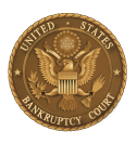 Understanding Bankruptcy | Eastern & Western Districts of Arkansas ...